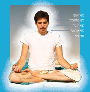 גופי האדם העדינים על פי היוגה