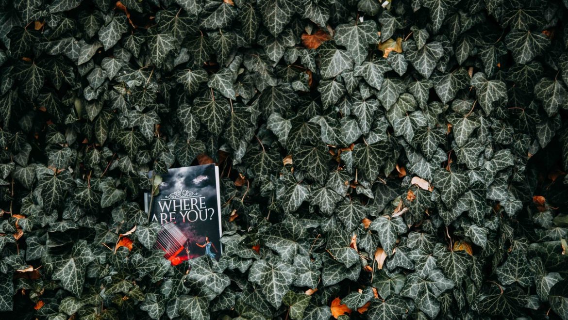 מהו מסע הגיבור – הסבר שווה לכל נפש